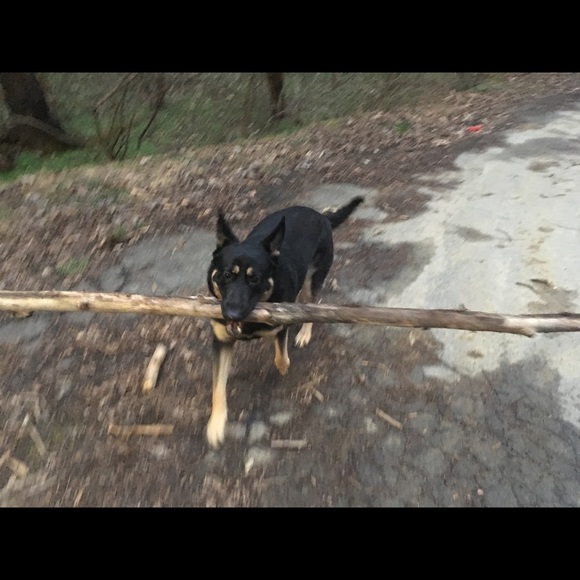 Meet your Posher, Rachell - Picture 7 of 8